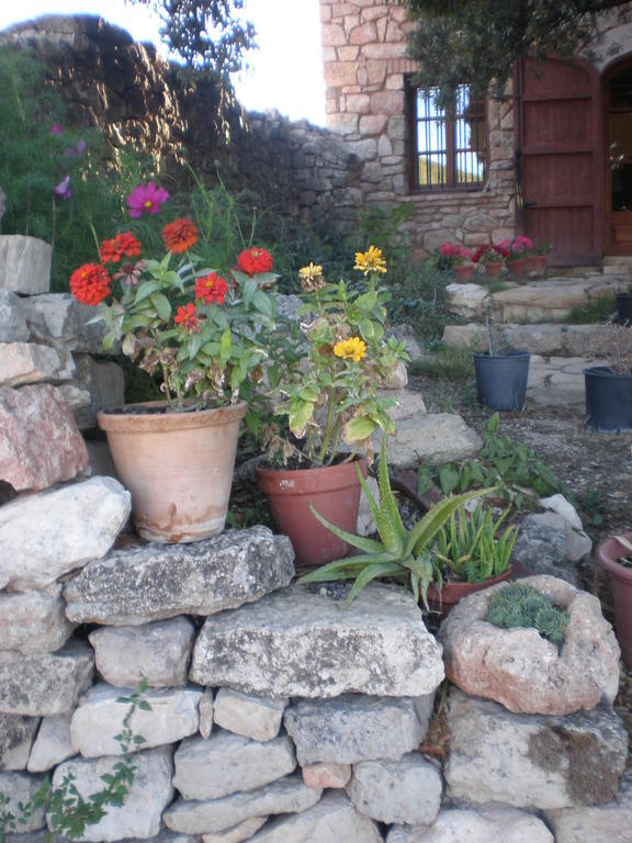 Mas Del Salin Vila Cornudella de Montsant Exterior foto